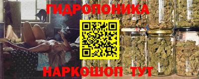 ешки Лесосибирск
