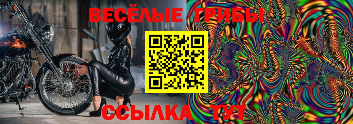 Псилоцибиновые грибы Cubensis  купить наркоту  Вход с VPN  Вязьма  Галлюциногенные грибы прущие грибы 